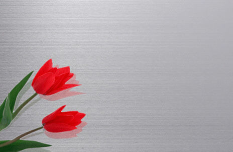 شراء No.3 / هل إنهاء الباردة المدلفن الفولاذ المقاوم للصدأ ورقة رئيس الصف المواد التصنيع عبر الإنترنت