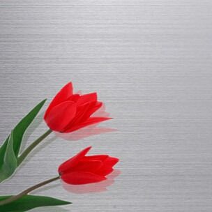 شراء No.3 / هل إنهاء الباردة المدلفن الفولاذ المقاوم للصدأ ورقة رئيس الصف المواد تصنيع عبر الإنترنت